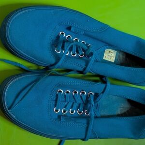 Vans Blue Canvas Sneakers